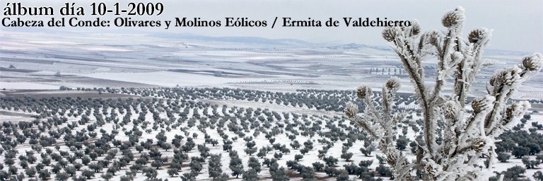 Norte del t�rmino desde la Cabeza del Conde, Molinos E�licos, Ermita de Valdehierro