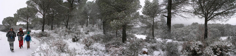 PULSA Y VERAS LA NEVADA DEL 29-1-2006