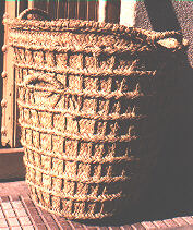 sero.jpg (22069 bytes)