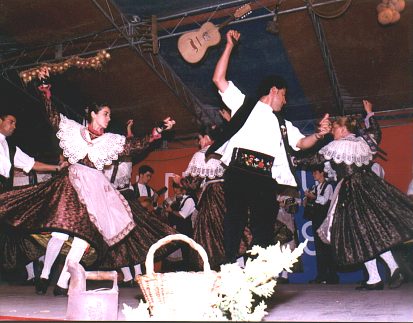 seguivu1.jpg (37357 bytes)