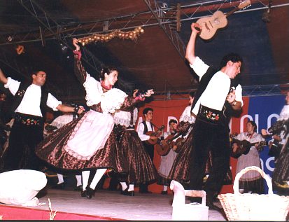 Seguivu2.jpg (36711 bytes)