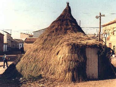 chozo.jpg (32281 bytes)