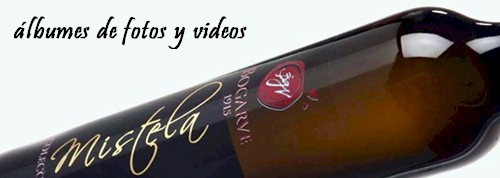 Presentaciones de los Vinos y Mistelas - Bodega en plena campaa de vendimia