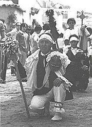 pecao7.jpg (18854 bytes)