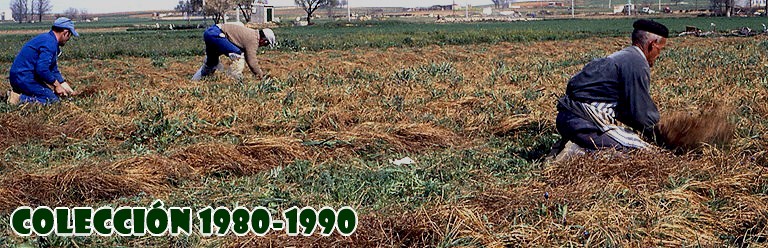 lbum FOTOGRAFAS - Coleccin 1980-1990 ESCANEADAS DE DIAPOSITIVAS 35 mm