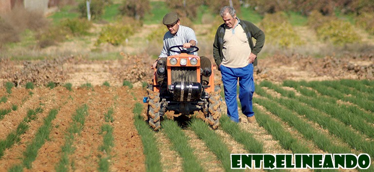 ENTRELINEANDO EL AZAFRANAL