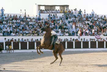 AOS 1980 - ESTAMOS PREPARANDO MS, ESCANEANDO DIAPOSITIVAS