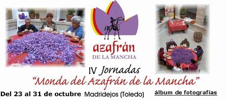 lbum de fotos de las Jornadas de Monda de Azafrn en el Museo de Madridejos