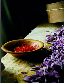 lbumes de fotografas y videos de azafrn