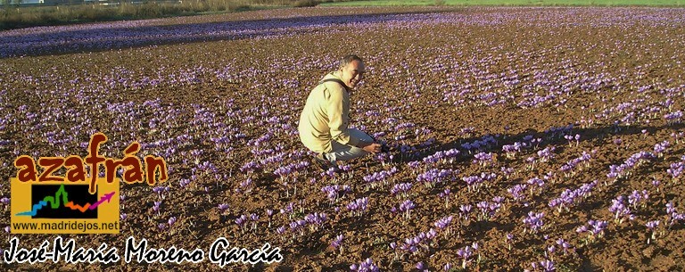 lbumes de fotografas y videos de AZAFRN